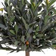 Artificial Olive Tree - Green