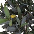 Artificial Olive Tree - Green