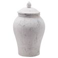 Bromwich Large Stone Ginger Jar