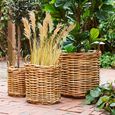 Burton Rattan Basket - Set of 3 - Natural