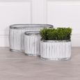 Cardiff Metal Planter - Tub - Oval - Medium