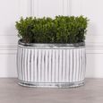 Cardiff Metal Planter - Tub - Oval - Small