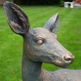 Garden Ornament - Deer