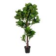 Fiddle Leaf Large Tree - Green