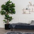 Fiddle Leaf Large Tree - Green