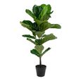 Fiddle Leaf Tree - Green