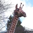Giraffe Large Garden Statue