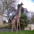 Giraffe Large Garden Statue