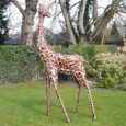 Giraffe Medium Garden Statue
