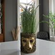 Gold Lion Head Planter - Set of 2