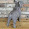 Grey Frenchie Statue - Set of 2 - Resin
