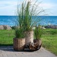 Hanoi Planter - Natural - Waterhyacinth - Set of 3