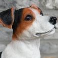 Jack Russell Sitting Dog Ornament - Set of 2 - Resin