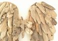 Large Driftwood Angel Wings