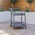 Grey Aluminium Garden Trolley - 2 Tier