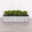 Metal Box Planter - Extra Large - Window