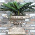 Garden Urn - Pedestal - Plant - Grey - Metal