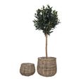 Pulo Basket - Kubu Rattan - Set of 2