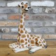 Resin Giraffe Statue - Set of 2