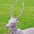 Rustic Grey Pair of Stags - Resin