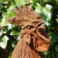 Rusty Garden Statue - Large Cockerel