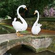 Large Swan Statue - White Metal - Resin