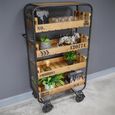 Shelves - Fir Wood and Metal - on Wheels