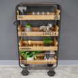 Shelves - Fir Wood and Metal - on Wheels