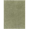 Cloudy Rug - High Pile Shaggy - Green - 140cm x 200cm