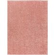 Cloudy Rug - High Pile Shaggy - Pink - Sizes Available