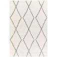 Cloudy Rug - Modern Plush Pile - Ivory - 160cm x 213cm