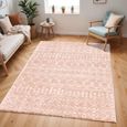 Aliyah Rug - Boho Shaggy - ALH2300 - Pink - Sizes Available
