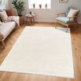 Cloudy Rug - High Pile Shaggy - CDG2301 - Beige - Sizes Available