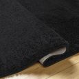 Cloudy Rug - High Pile Shaggy - Black - Sizes Available