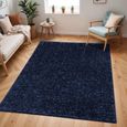 Cloudy Rug - High Pile Shaggy - CDG2326 - Blue - Sizes Available