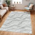 Cloudy Rug - High Pile Shaggy - CDG2306 - Grey - Sizes Available
