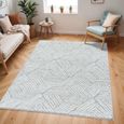 Cloudy Rug - High Pile Shaggy - CDG2320 - Grey - Sizes Available