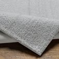 Cloudy Rug - High Pile Shaggy - Light Grey - Sizes Available