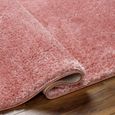Cloudy Rug - High Pile Shaggy - Pink - Sizes Available