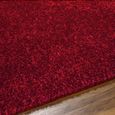 Cloudy Rug - High Pile Shaggy - Red - Sizes Available