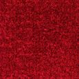 Cloudy Rug - High Pile Shaggy - Red - Sizes Available