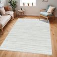 Cloudy Rug - High Pile Shaggy - CDG2307 - White - Sizes Available