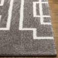 Cloudy Rug - Modern Shaggy - Grey - 160cm x 213cm