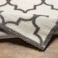 Cloudy Rug - Oriental Shaggy - Ivory - 160cm x 213cm