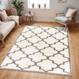 Cloudy Rug - Oriental Shaggy - Ivory - 160cm x 213cm