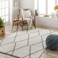 Cloudy Rug - Modern Plush Pile - Ivory - 160cm x 213cm