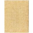 Moda Rug - High Pile Shaggy - Yellow - Sizes Available