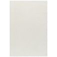 Nomadic Rug - Shaggy Modern Plush Pile - NMC2316 - Ivory - Sizes Available