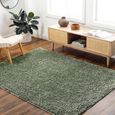 Moda Rug - High Pile Shaggy - Green - Sizes Available