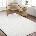 Nomadic Rug - Shaggy Modern Plush Pile - Beige - Sizes Available